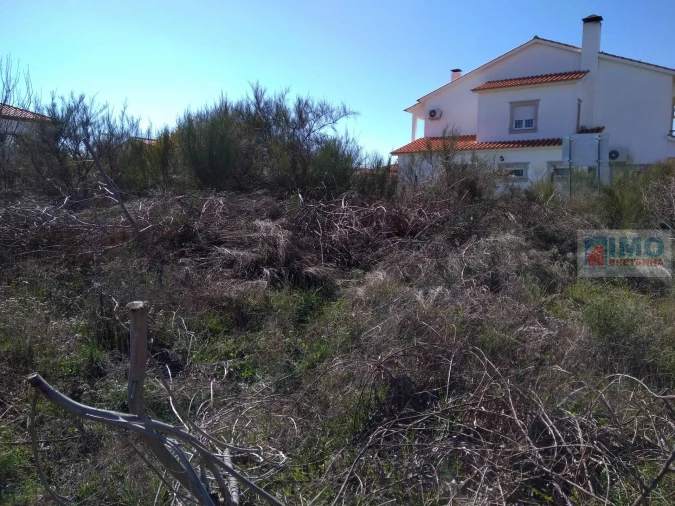 Terreno para Venda em Lardosa Foto 5