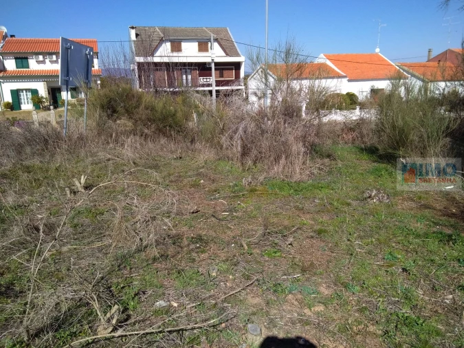 Terreno para Venda em Lardosa Foto 2