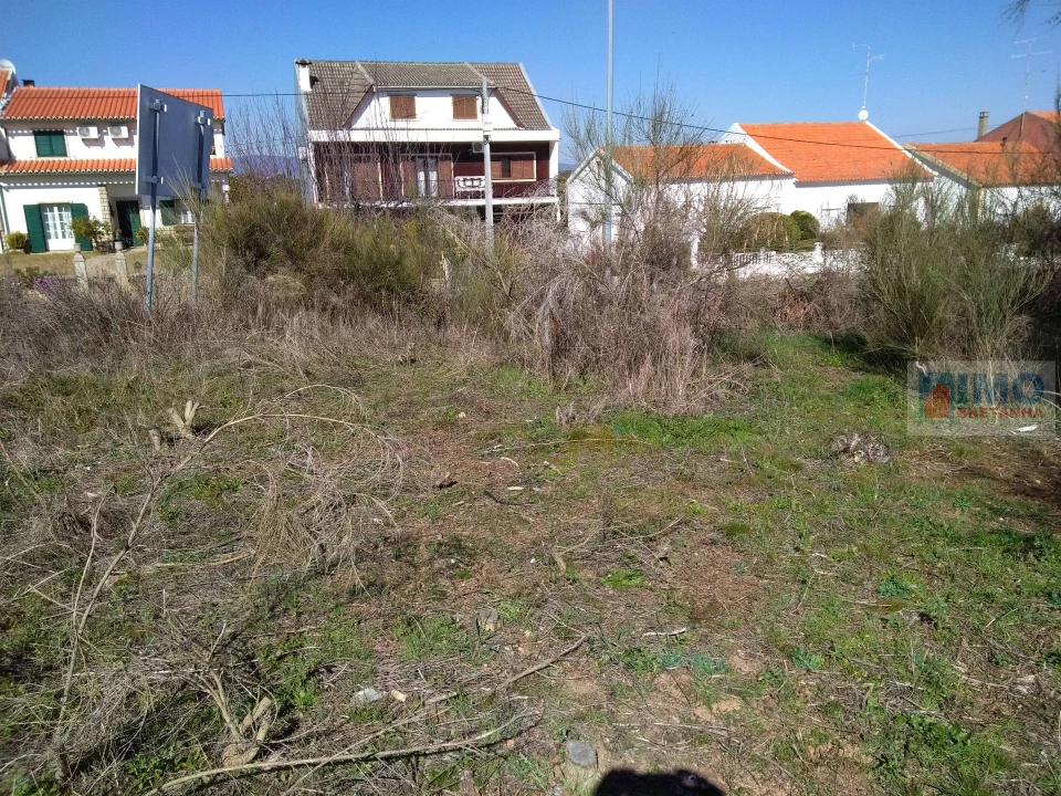 Terreno para Venda em Lardosa Foto 2