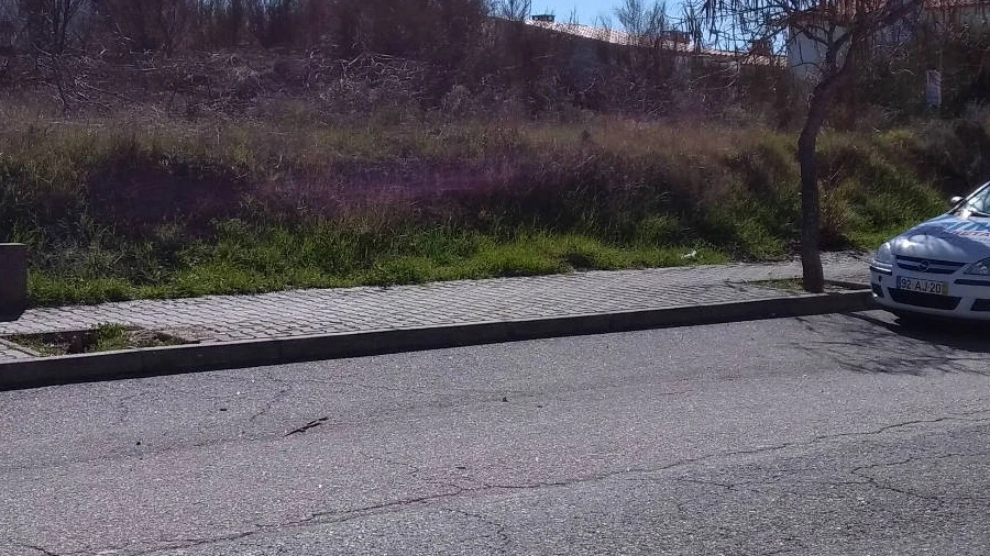 Terreno para Venda em Lardosa