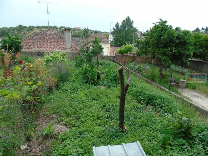 Moradia T2 para Venda em Escalos de Baixo e Mata Foto 11