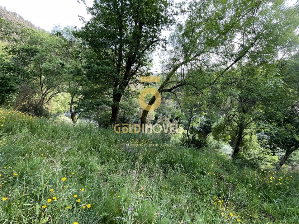 Terreno Agricola ou Rústico para Venda em Travanca Foto 6