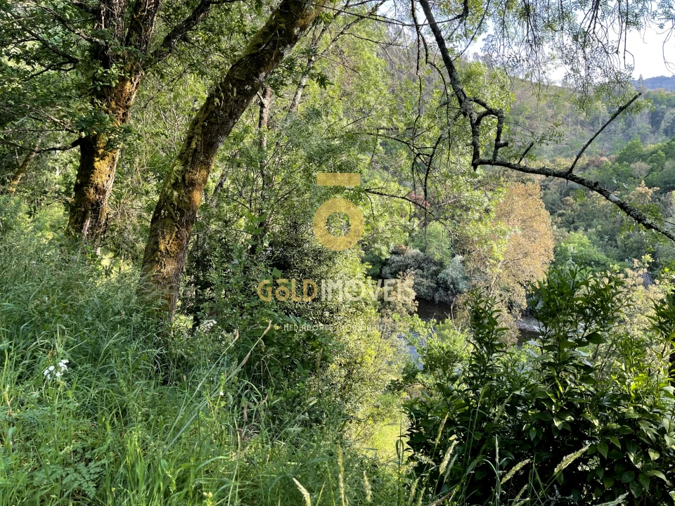 Terreno Agricola ou Rústico para Venda em Travanca Foto 9