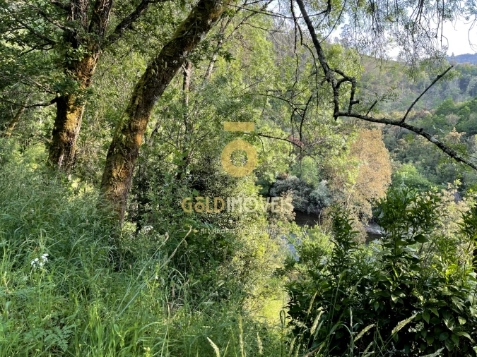 Terreno Agricola ou Rústico para Venda em Travanca Foto 9