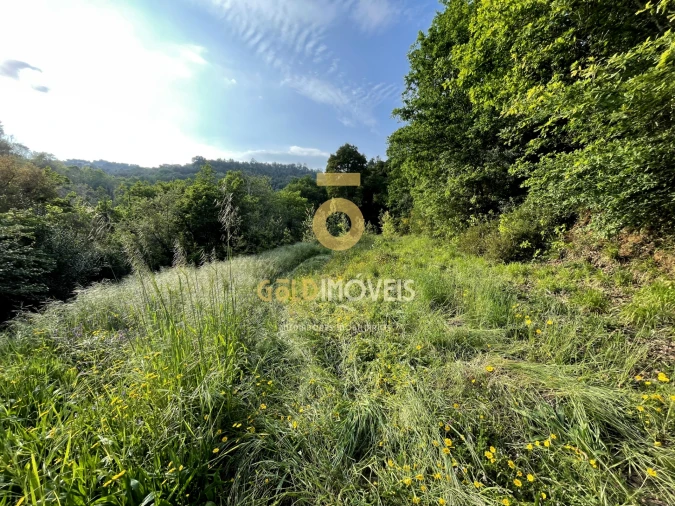 Terreno Agricola ou Rústico para Venda em Travanca Foto 5