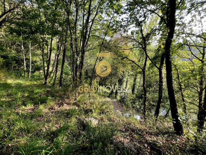 Terreno Agricola ou Rústico para Venda em Travanca Foto 15
