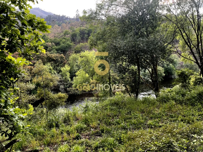 Terreno Agricola ou Rústico para Venda em Travanca