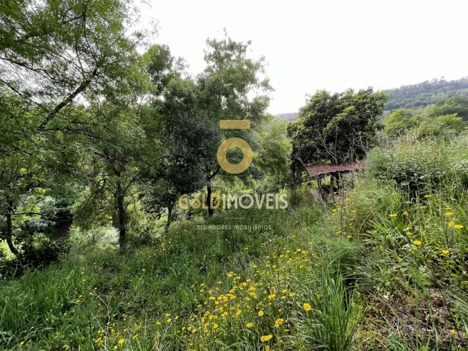 Terreno Agricola ou Rústico para Venda em Travanca Foto 4