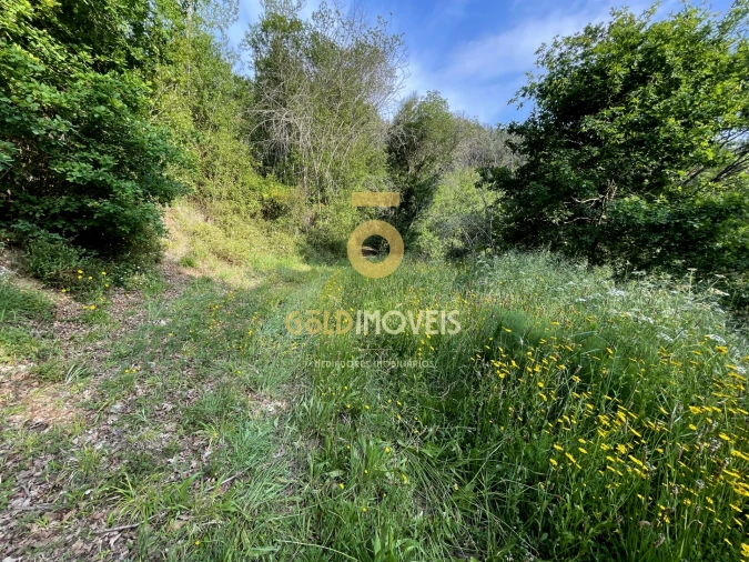 Terreno Agricola ou Rústico para Venda em Travanca Foto 12