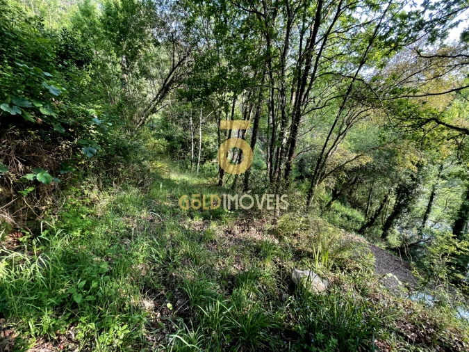 Terreno Agricola ou Rústico para Venda em Travanca Foto 14