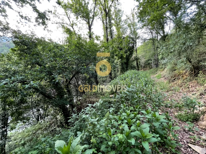 Terreno Agricola ou Rústico para Venda em Travanca Foto 18