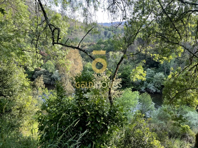 Terreno Agricola ou Rústico para Venda em Travanca Foto 8