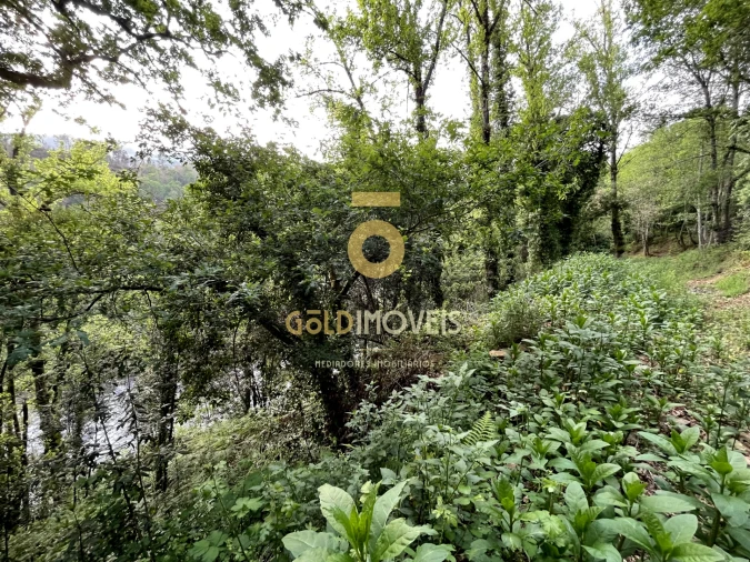 Terreno Agricola ou Rústico para Venda em Travanca Foto 19