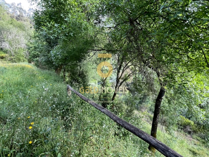 Terreno Agricola ou Rústico para Venda em Travanca Foto 7