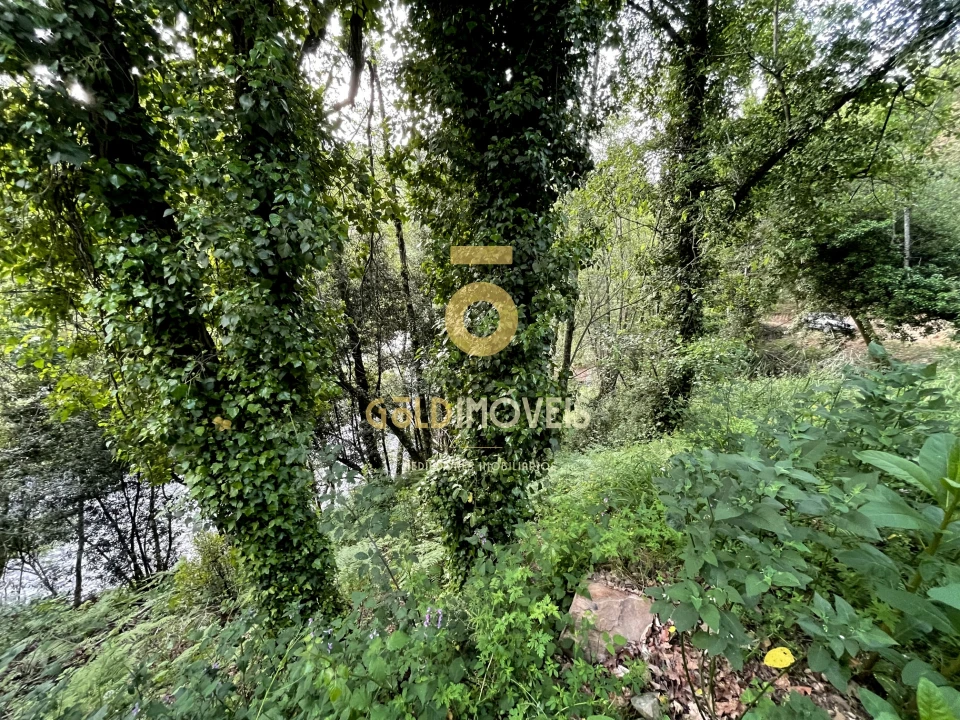 Terreno Agricola ou Rústico para Venda em Travanca Foto 17