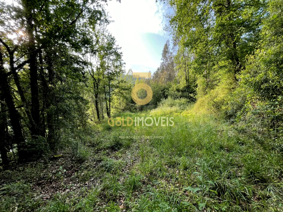 Terreno Agricola ou Rústico para Venda em Travanca Foto 16