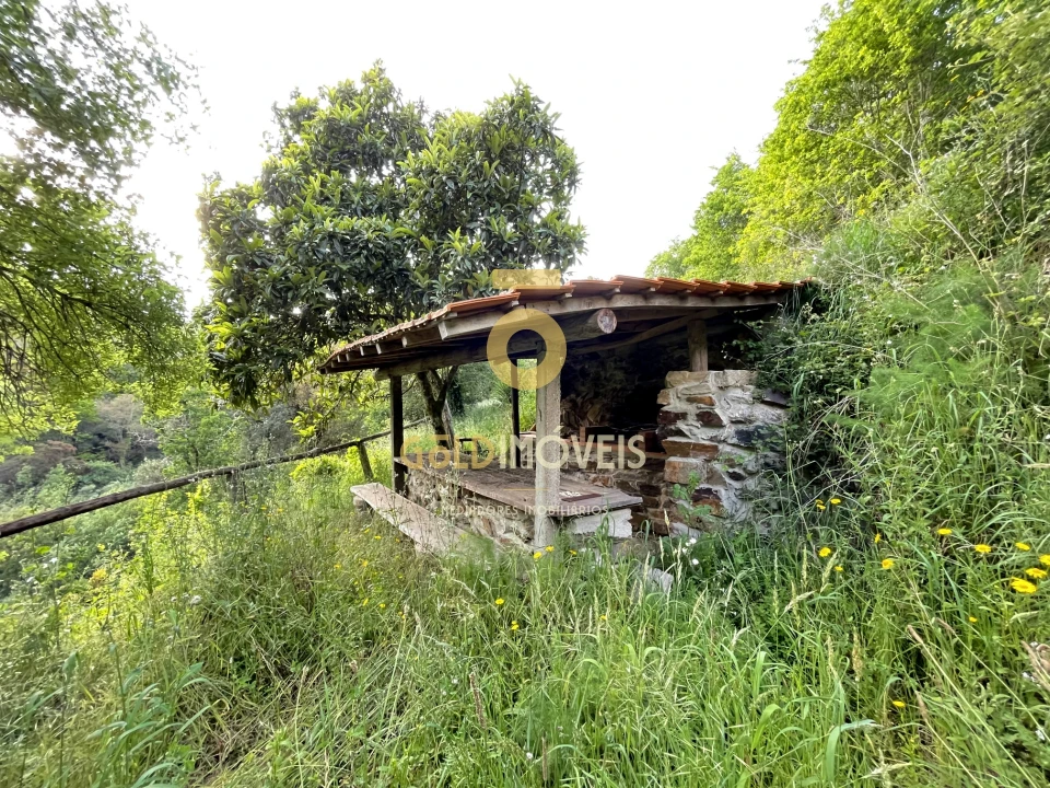 Terreno Agricola ou Rústico para Venda em Travanca Foto 2