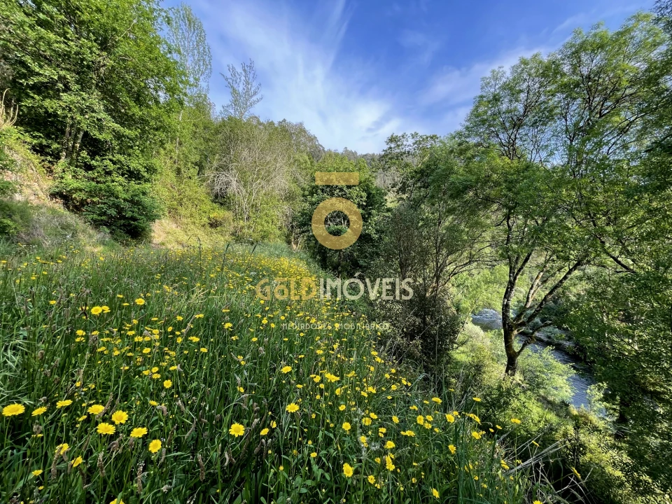 Terreno Agricola ou Rústico para Venda em Travanca Foto 11
