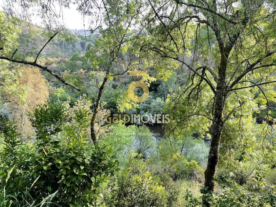 Terreno Agricola ou Rústico para Venda em Travanca Foto 10
