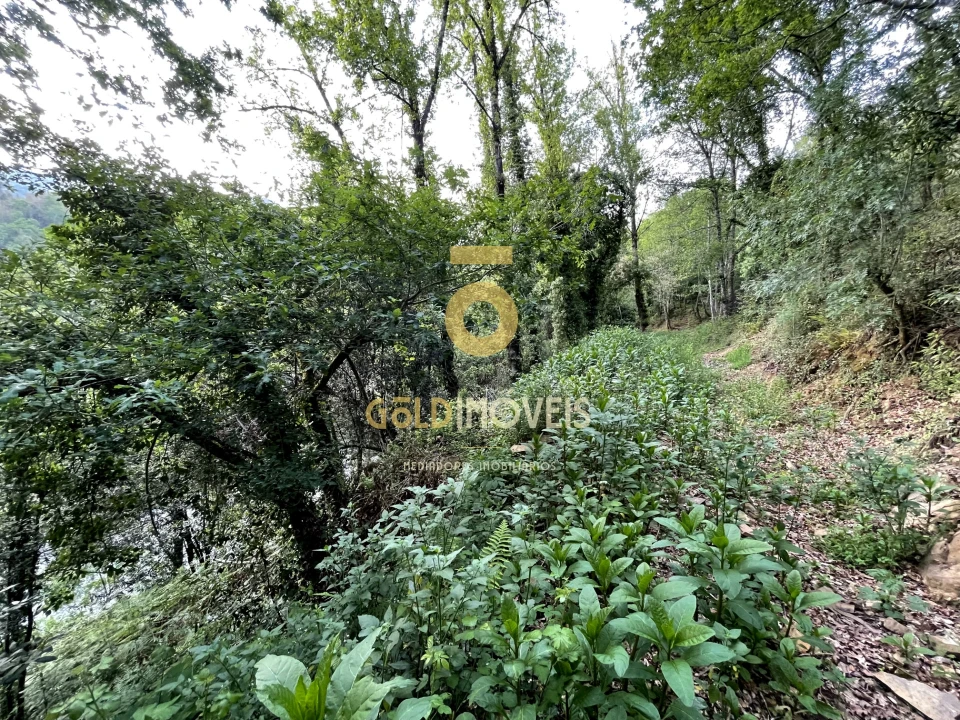 Terreno Agricola ou Rústico para Venda em Travanca Foto 18