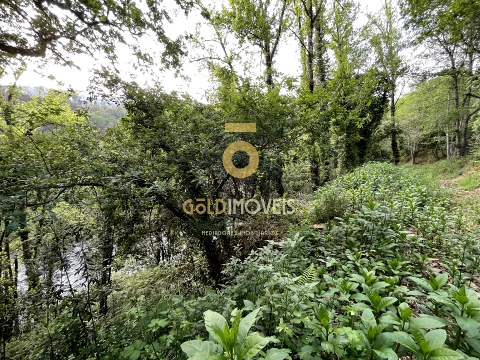 Terreno Agricola ou Rústico para Venda em Travanca Foto 19