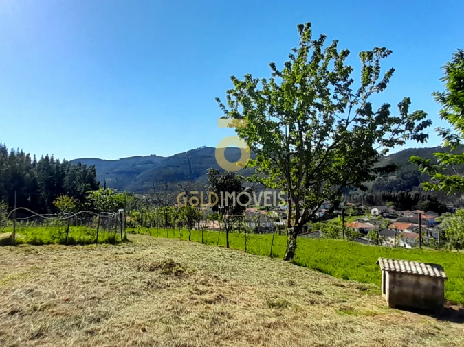 Moradia T3 para Venda em Nespereira Foto 22