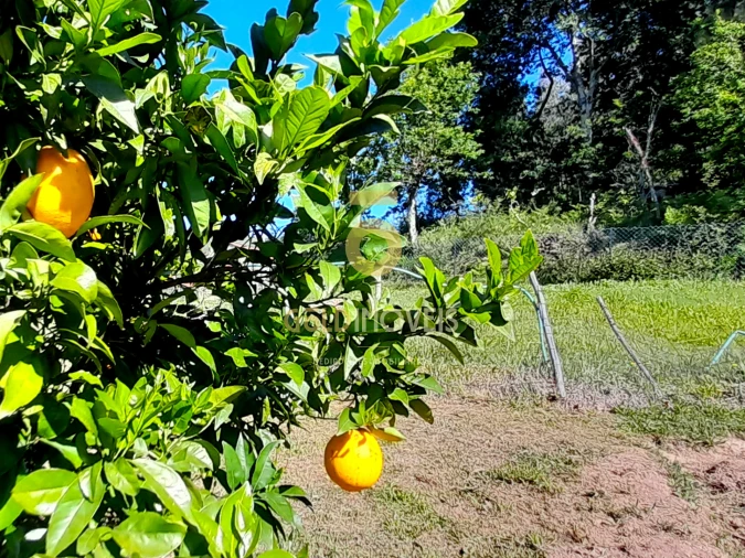 Moradia T3 para Venda em Nespereira Foto 19