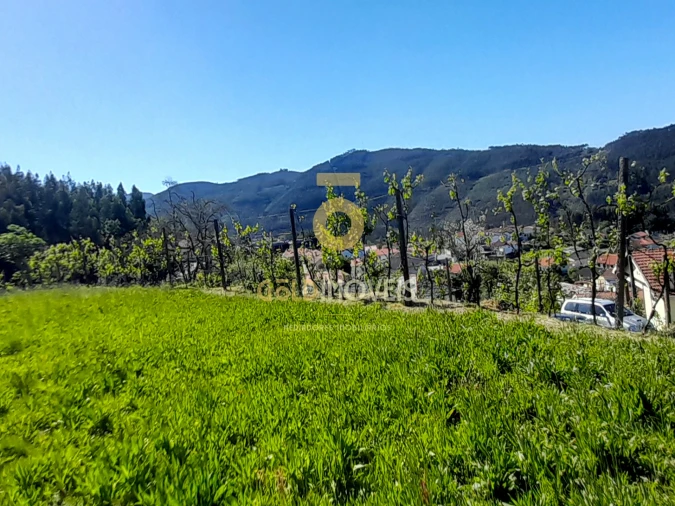 Moradia T3 para Venda em Nespereira Foto 34