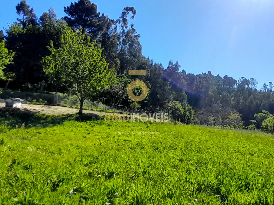 Moradia T3 para Venda em Nespereira Foto 33