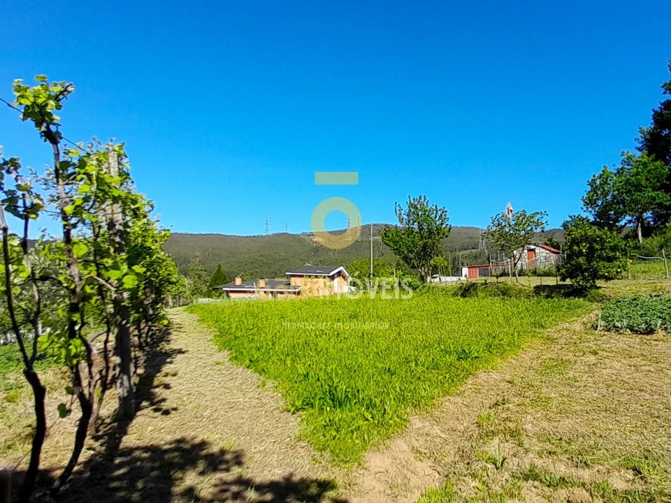 Moradia T3 para Venda em Nespereira Foto 18