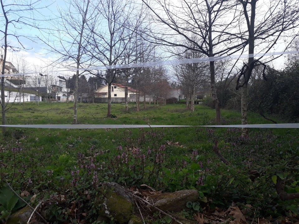 Terreno para Venda em Cesar Foto 4