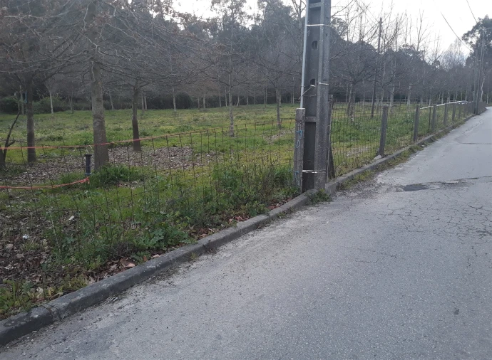 Terreno para Venda em Cesar Foto 5