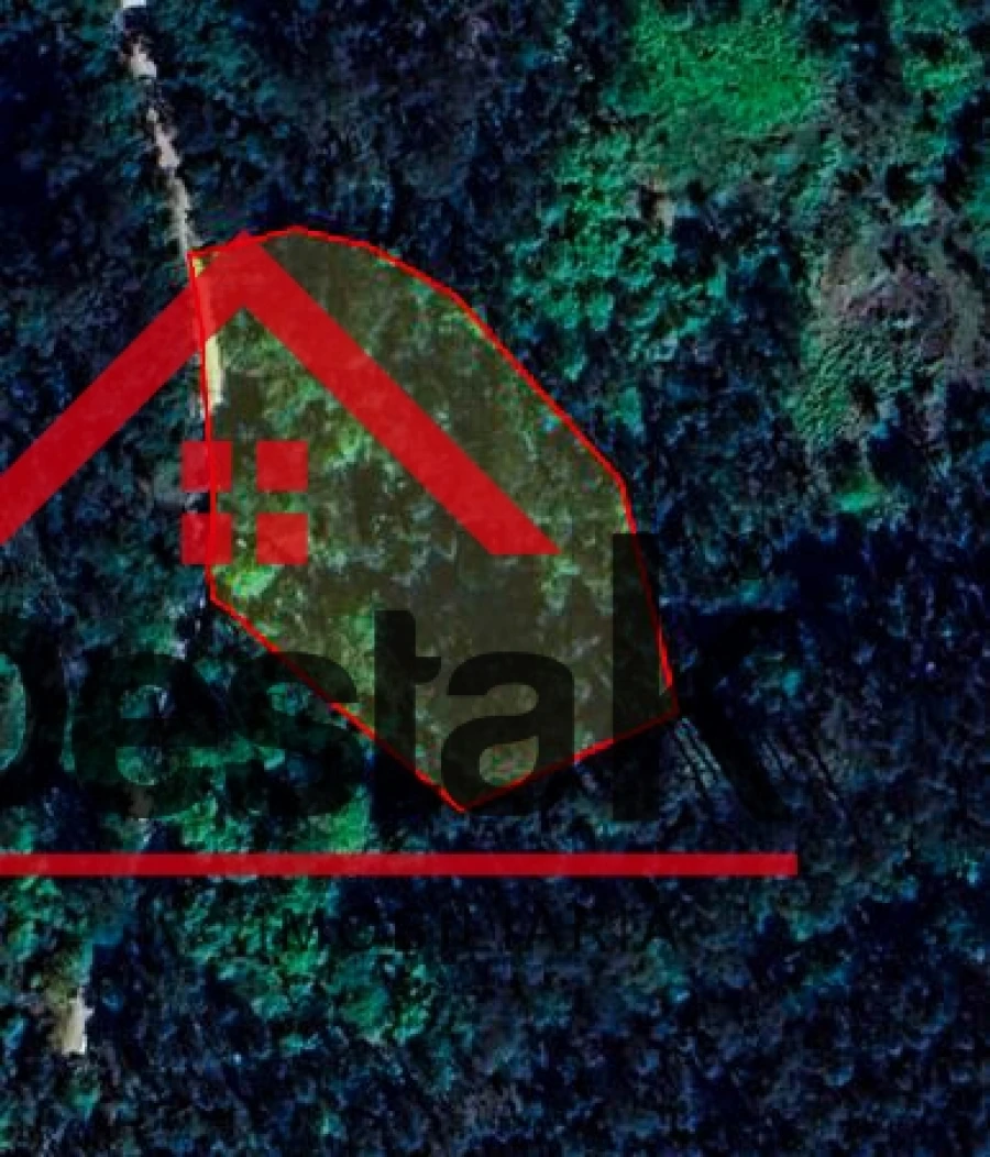 Terreno Agricola ou Rústico para Venda em São Pedro do Sul, Várzea e Baiões Foto 6