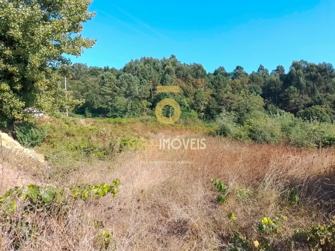 Terreno para Venda em Souselo Foto 2
