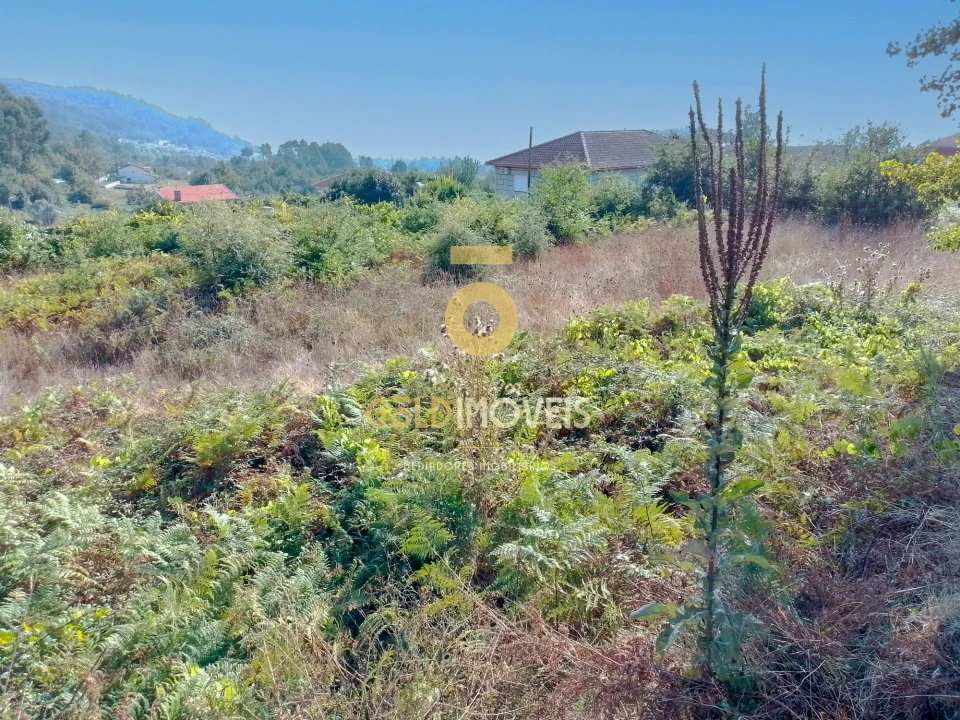 Terreno para Venda em Souselo Foto 10