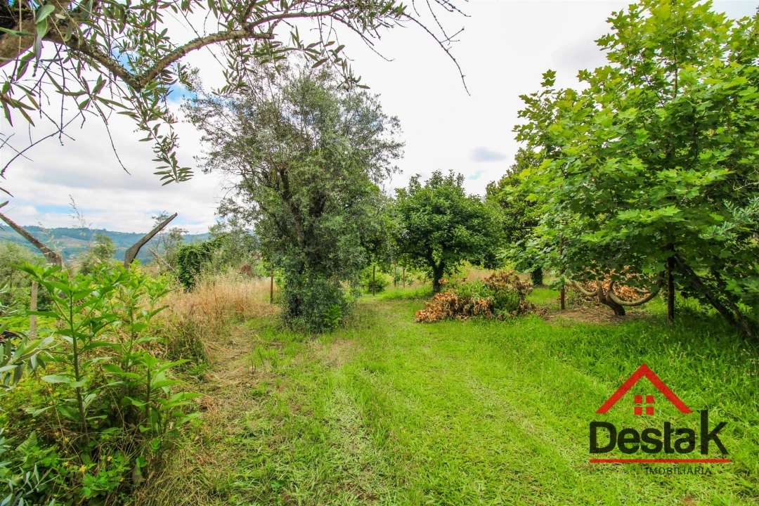 Terreno para Venda em São Miguel do Mato Foto 5