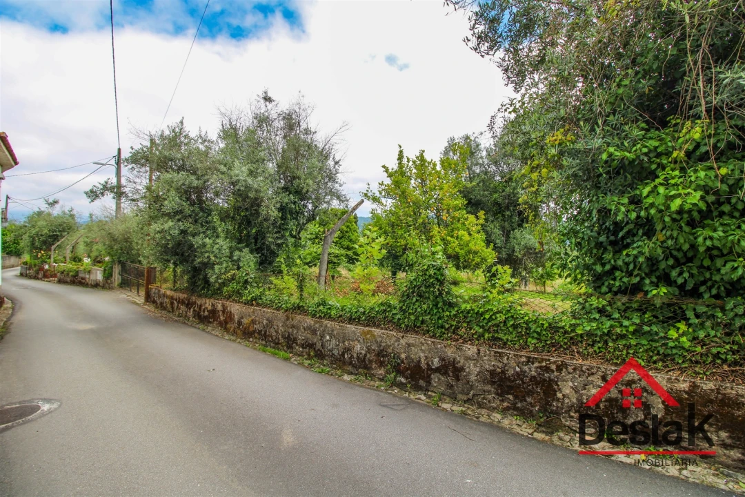 Terreno para Venda em São Miguel do Mato Foto 3