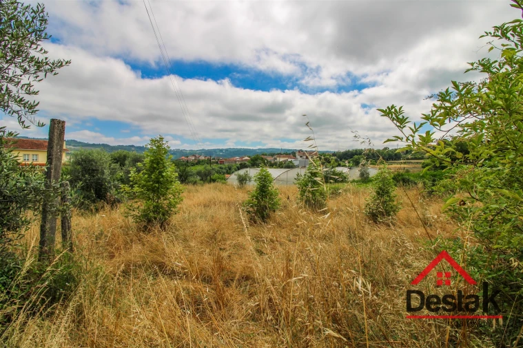 Terreno para Venda em São Miguel do Mato Foto 10