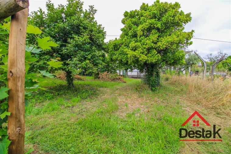 Terreno para Venda em São Miguel do Mato Foto 7