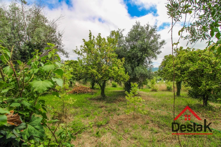 Terreno para Venda em São Miguel do Mato Foto 2