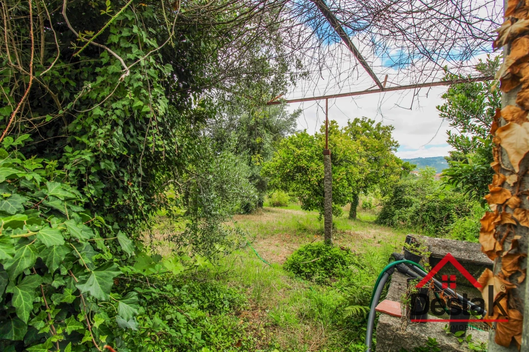 Terreno para Venda em São Miguel do Mato Foto 4