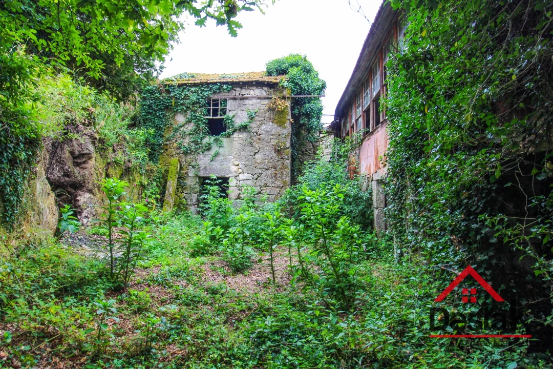 Moradia T3 para Venda em Oliveira de Frades, Souto de Lafões e Sejães Foto 3