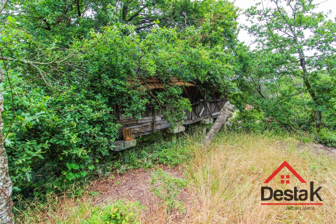 Moradia T3 para Venda em Oliveira de Frades, Souto de Lafões e Sejães Foto 8