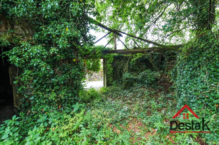 Moradia T3 para Venda em Oliveira de Frades, Souto de Lafões e Sejães Foto 5