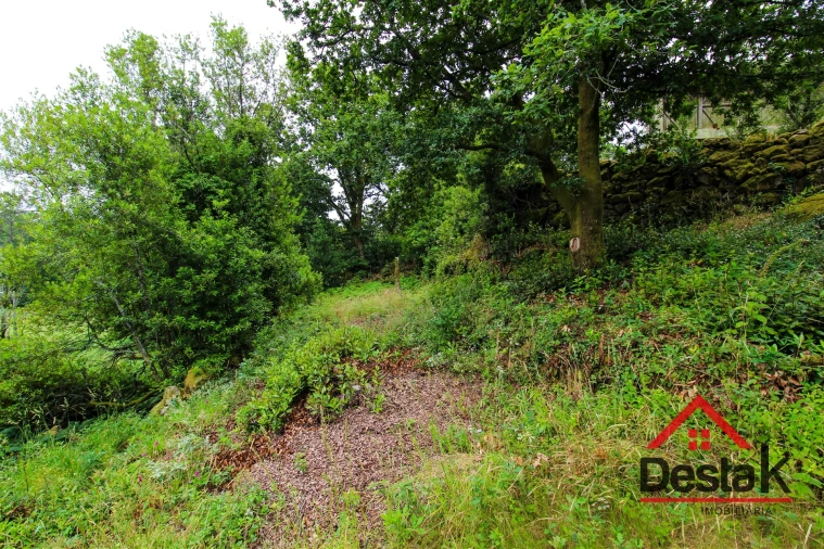 Moradia T3 para Venda em Oliveira de Frades, Souto de Lafões e Sejães Foto 11