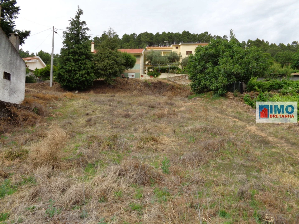 Quinta T0 para Venda em Teixoso e Sarzedo Foto 4