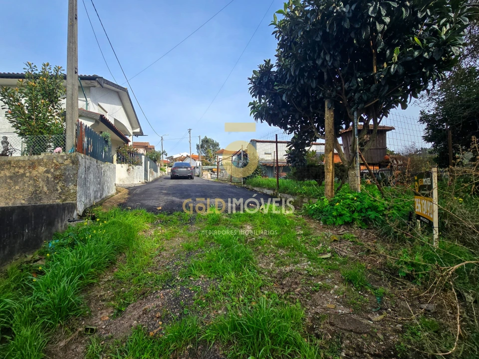 Terreno Agricola ou Rústico para Venda em São Martinho da Gandara Foto 13