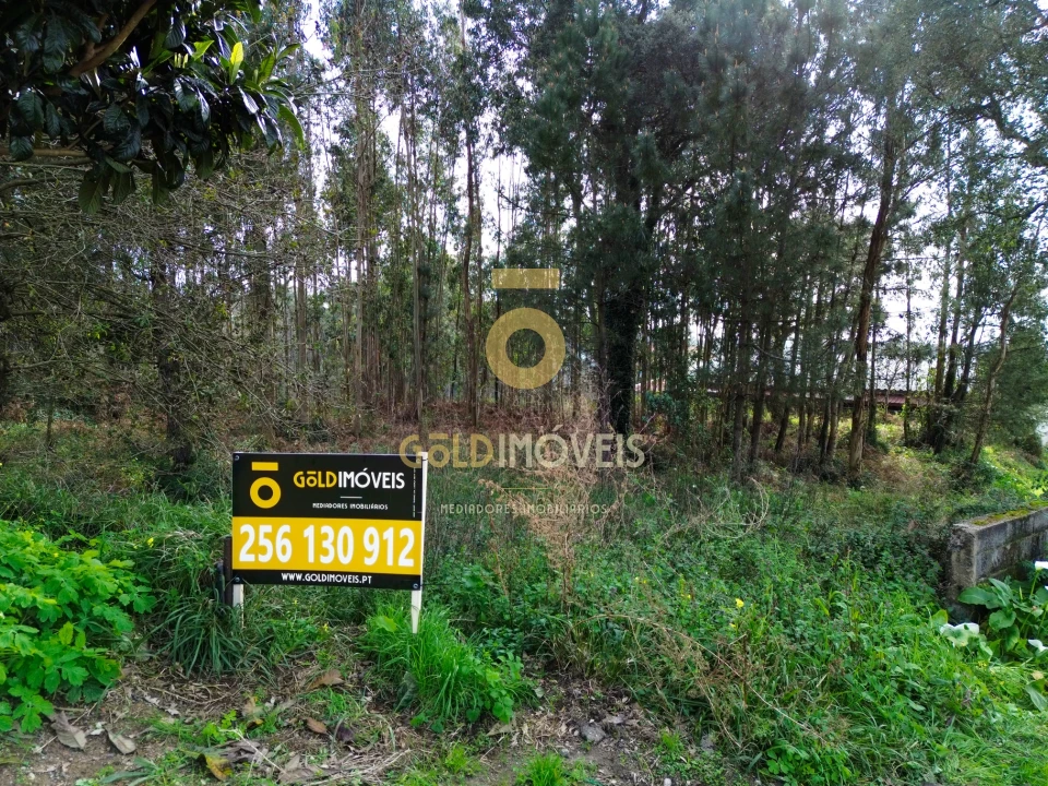 Terreno Agricola ou Rústico para Venda em São Martinho da Gandara Foto 14