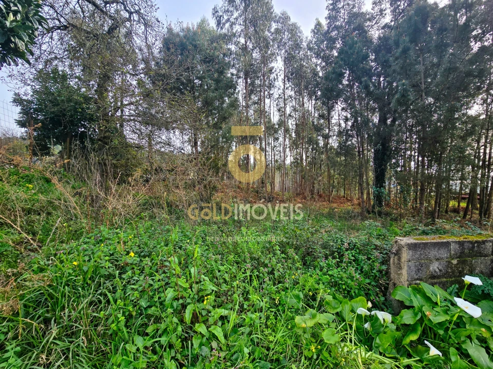 Terreno Agricola ou Rústico para Venda em São Martinho da Gandara Foto 7
