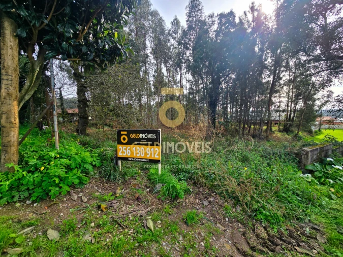Terreno Agricola ou Rústico para Venda em São Martinho da Gandara Foto 6